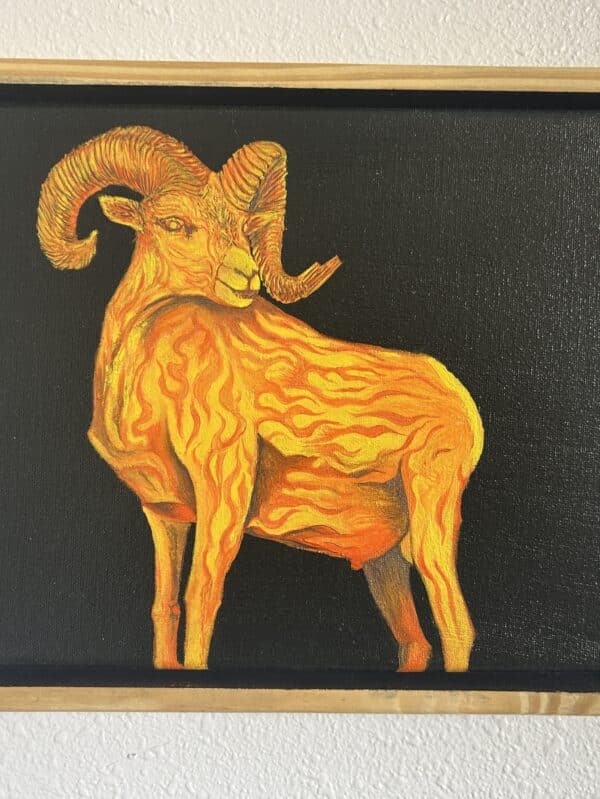Burning Bighorn Sheep